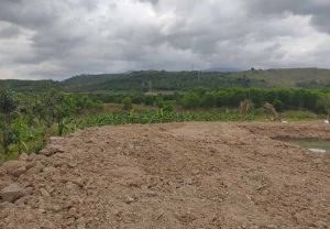 Bán lô đất tâm huyết lấy tiền xây nhà tại Diên Thọ